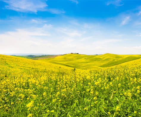 西安網站建設多少錢比較合適