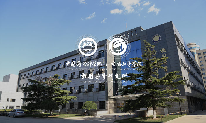 網站制作技術的演進與趨向