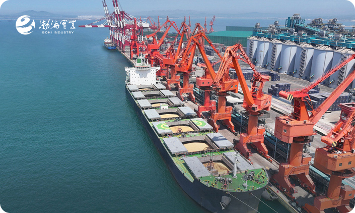 山東渤海實業集團